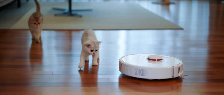 Read more about the article 5 Best Selling Self Emptying Robot Vacuums – You Will Love to Buy