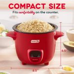 smart home rice cooker good rice cookers on amazon USA