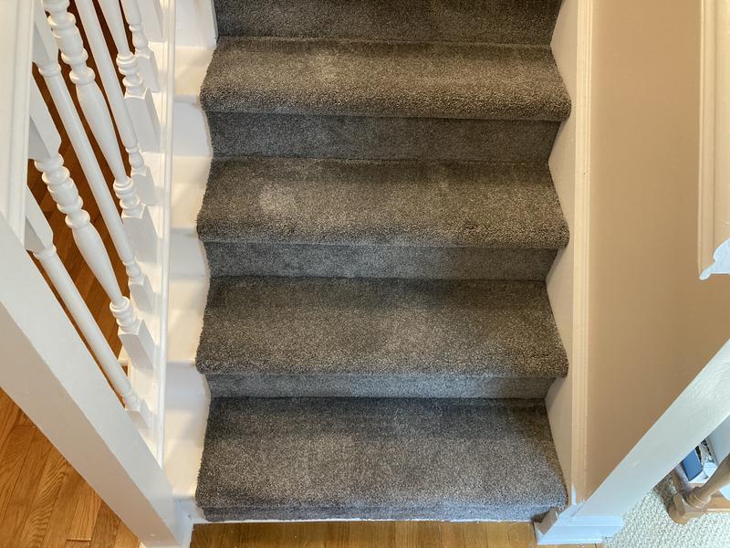 Soft Breath II - Abbey - Gray 60 oz. SD Polyester Texture Installed Carpet