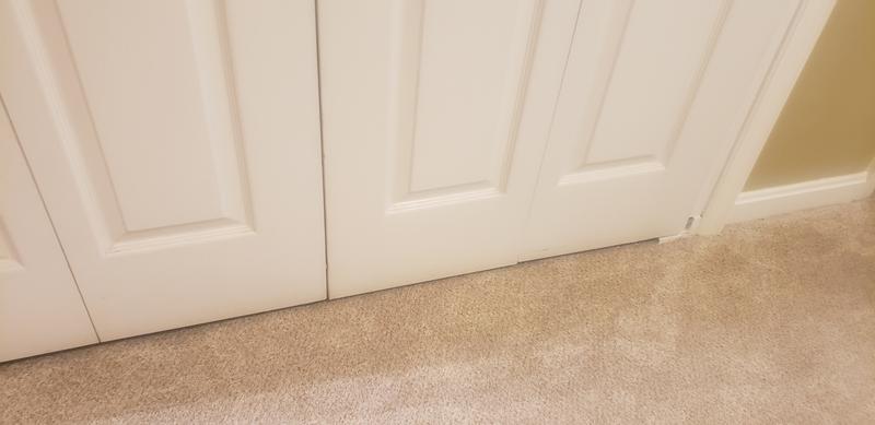 Nimble Creek - Pebble - Gray 32 oz. SD Polyester Texture Installed Carpet.