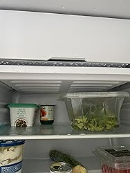 RCA RFR283-STAINLESS 2.6 Cu. Ft. Refrigerator, Stainless Steel, Stainless