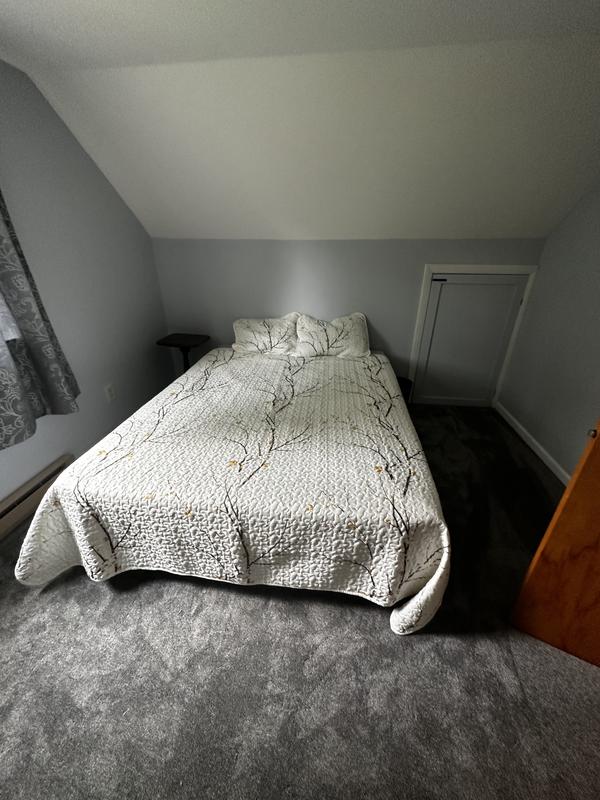 Soft Breath II - Abbey - Gray 60 oz. SD Polyester Texture Installed Carpet