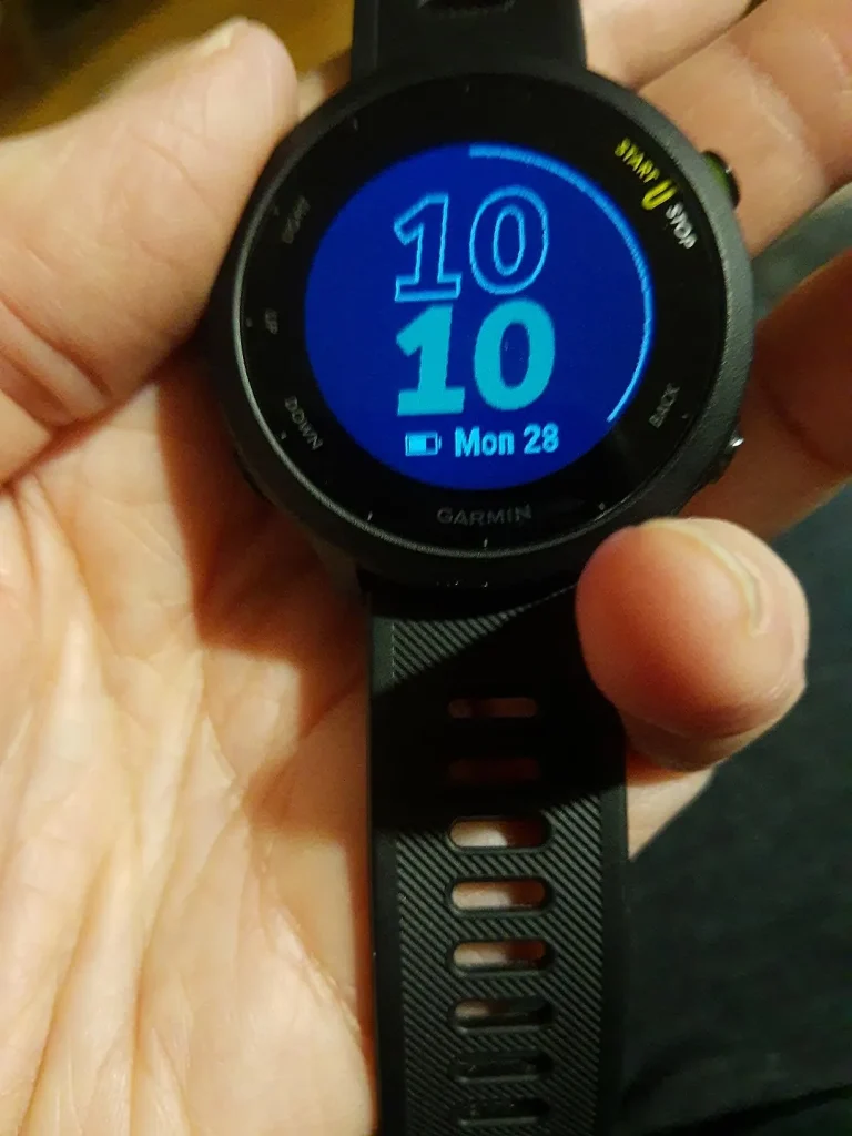 Garmin 010-02562-00 Forerunner 55, GPS Running Watch with Daily Suggested Workouts, Up to 2 weeks of Battery Life, Black