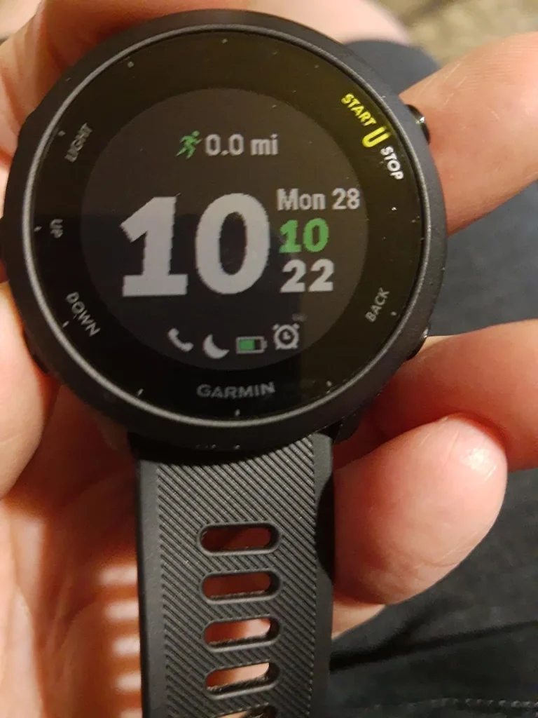 Garmin 010-02562-00 Forerunner 55, GPS Running Watch with Daily Suggested Workouts, Up to 2 weeks of Battery Life, Black